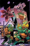 TEENAGE MUTANT NINJA TURTLES / STRANGER THINGS #1-RI-D 