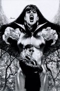 VAMPIRELLA / DRACULA: RAGE #2-RI-L 