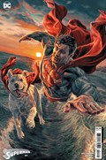 SUPERMAN #11B 