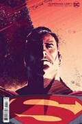 SUPERMAN: LOST #1C 