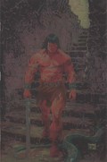 CONAN: THE BARBARIAN #24D 