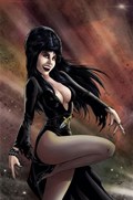 ELVIRA IN MONSTERLAND #4-RI-H 