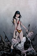 VAMPIRELLA VERSUS THE SUPERPOWERS #1-RI-O 