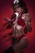 VAMPIRELLA VERSUS THE SUPERPOWERS #1-616CX 