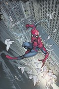 ULTIMATE SPIDER-MAN #1-RI-C 