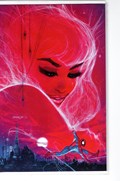 ULTIMATE SPIDER-MAN #12G 
