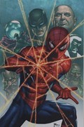 ULTIMATE SPIDER-MAN #17H 
