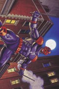 NIGHT THRASHER #1-RI-B 