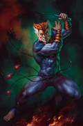 THUNDERCATS #4H 