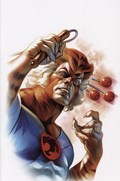 THUNDERCATS #14-RI-F 