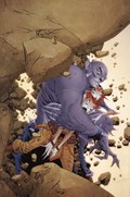 THUNDERCATS #17-RI-E 