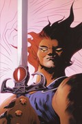 THUNDERCATS #24-RI-D 