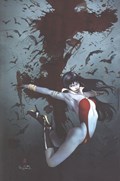 VAMPIRELLA #669-RI-D 