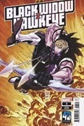 BLACK WIDOW & HAWKEYE #3B 