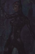 CATWOMAN UNCOVERED #1D 