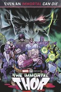 IMMORTAL THOR #24B 
