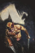PREDATOR VS. WOLVERINE #1-RI-C 