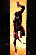 DAREDEVIL #2-RI-B 