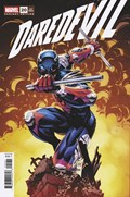 DAREDEVIL #20C 