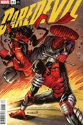 DAREDEVIL #21C 