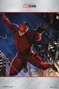 DAREDEVIL #21D 