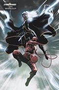 DAREDEVIL #14C 