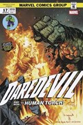 DAREDEVIL #17C 