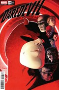 DAREDEVIL #25C 