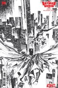 BATMAN AND ROBIN #1-RI-B 