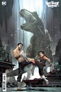 BATMAN AND ROBIN #8C 