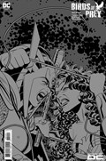 BIRDS OF PREY #4-RI-B 