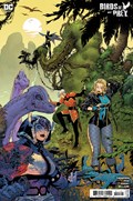 BIRDS OF PREY #11B 