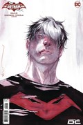 BATMAN / CATWOMAN: THE GOTHAM WAR RED HOOD #2B 
