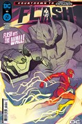 THE FLASH #10 