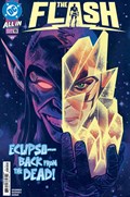 THE FLASH #19 