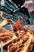 THE FLASH #14B 
