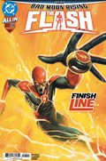 THE FLASH #25 