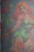 GOTHAM CITY SIRENS #1-MFZ-E 