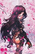 WITCHBLADE #21-RI-C 