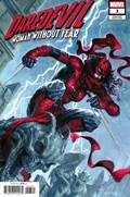DAREDEVIL: WOMAN WITHOUT FEAR #3B 