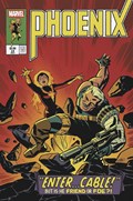 PHOENIX #13B 