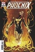 PHOENIX #14B 