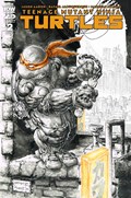 TEENAGE MUTANT NINJA TURTLES #2C 