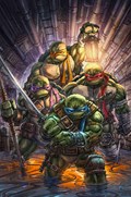 TEENAGE MUTANT NINJA TURTLES #1-CSJ61 