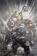 TEENAGE MUTANT NINJA TURTLES #1-CSJ61-B 