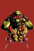 TEENAGE MUTANT NINJA TURTLES #1-WNSL-B 