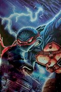 TEENAGE MUTANT NINJA TURTLES #1-STHL 