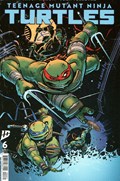 TEENAGE MUTANT NINJA TURTLES #6-RI-C 