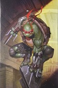 TEENAGE MUTANT NINJA TURTLES #1-CCCKC 