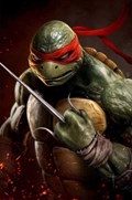 TEENAGE MUTANT NINJA TURTLES #1-616JT 